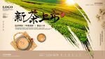 新茶上市