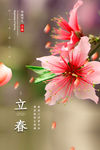 立春