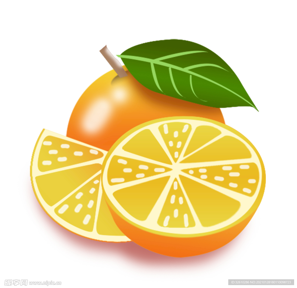 香橙 橘子 设计素材