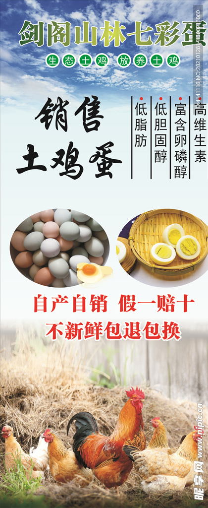 土鸡蛋展架