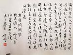 孙晓云    书法