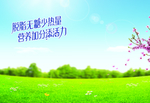 蛋白粉海报