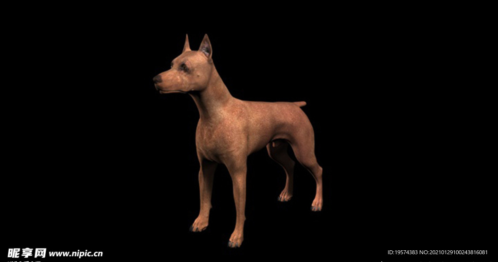 C4D模型 斗牛