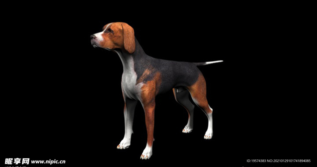 C4D模型 猎犬黑谭