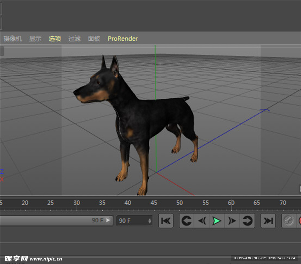 C4D模型 杜宾布朗