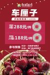 车厘子海报