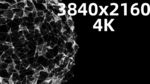 4k视频 plexus