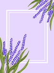 背景素材