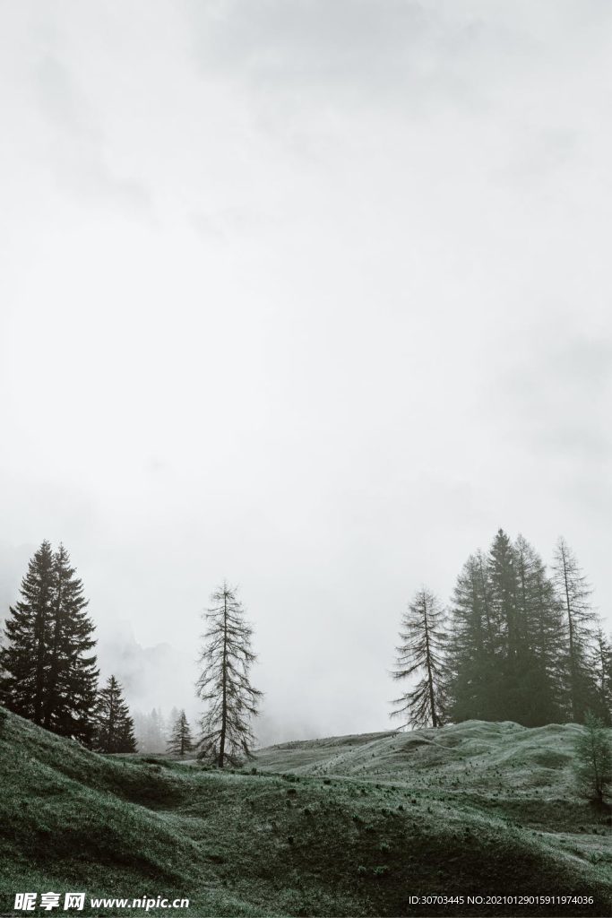 田