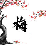 梅花素材