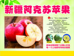 阿克苏苹果介绍展板海报