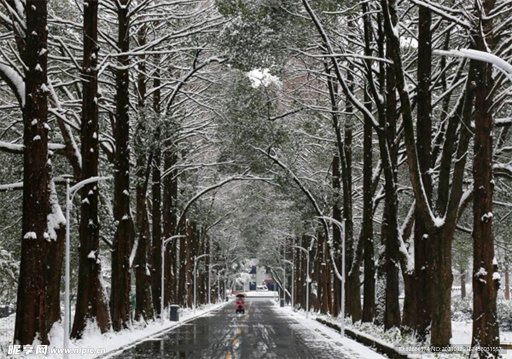 冬雪 雪景 校园