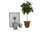 植物相框3d模型