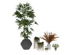 植物组3d模型