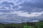 风景