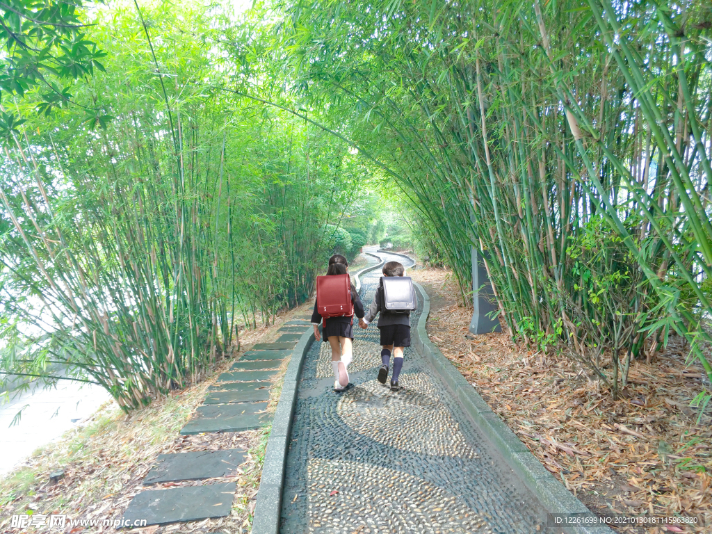 竹林漫步的学生