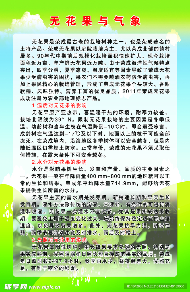 无花果与气象