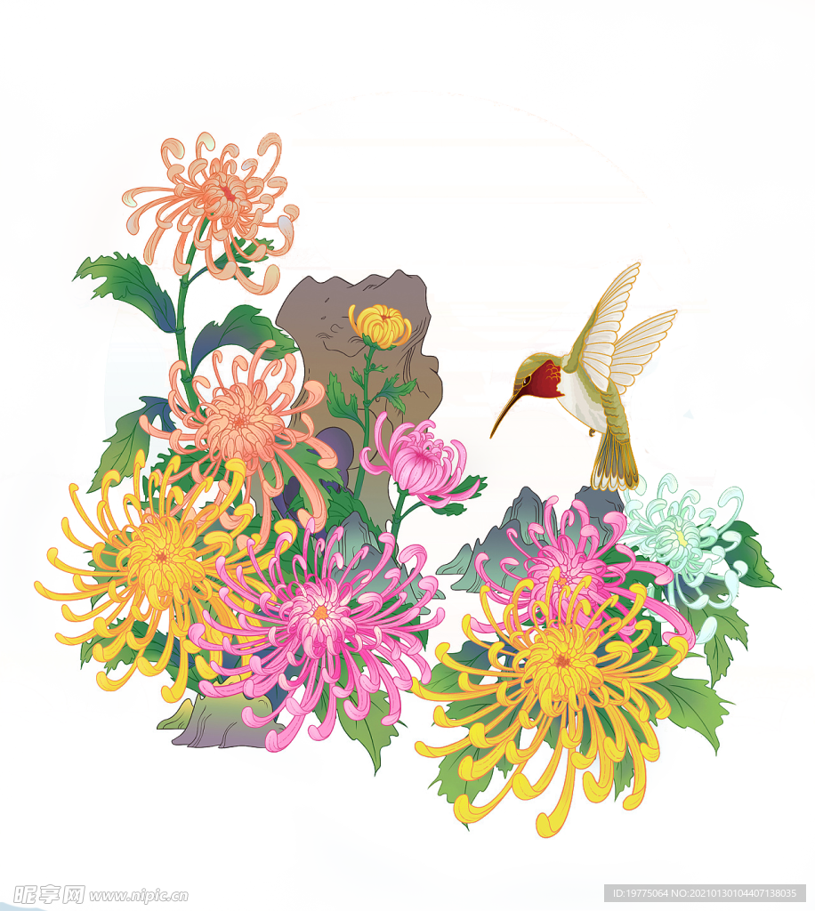 菊花