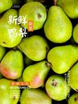 鸭梨海报