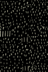 字母
