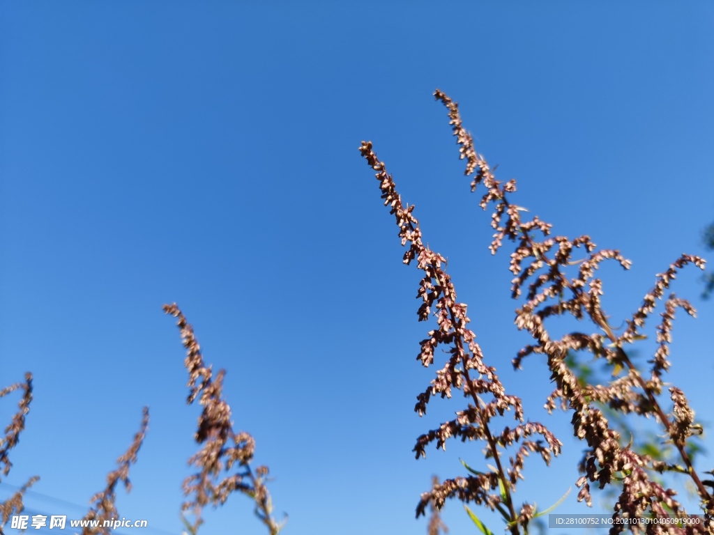 天空