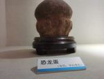 恐龙蛋化石