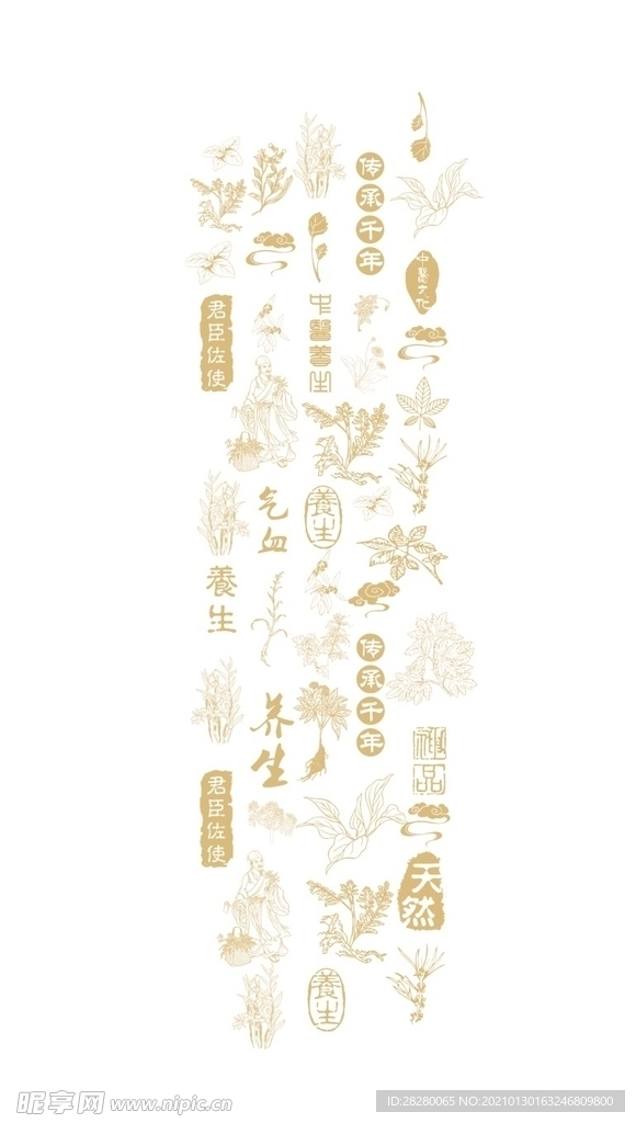中药底纹