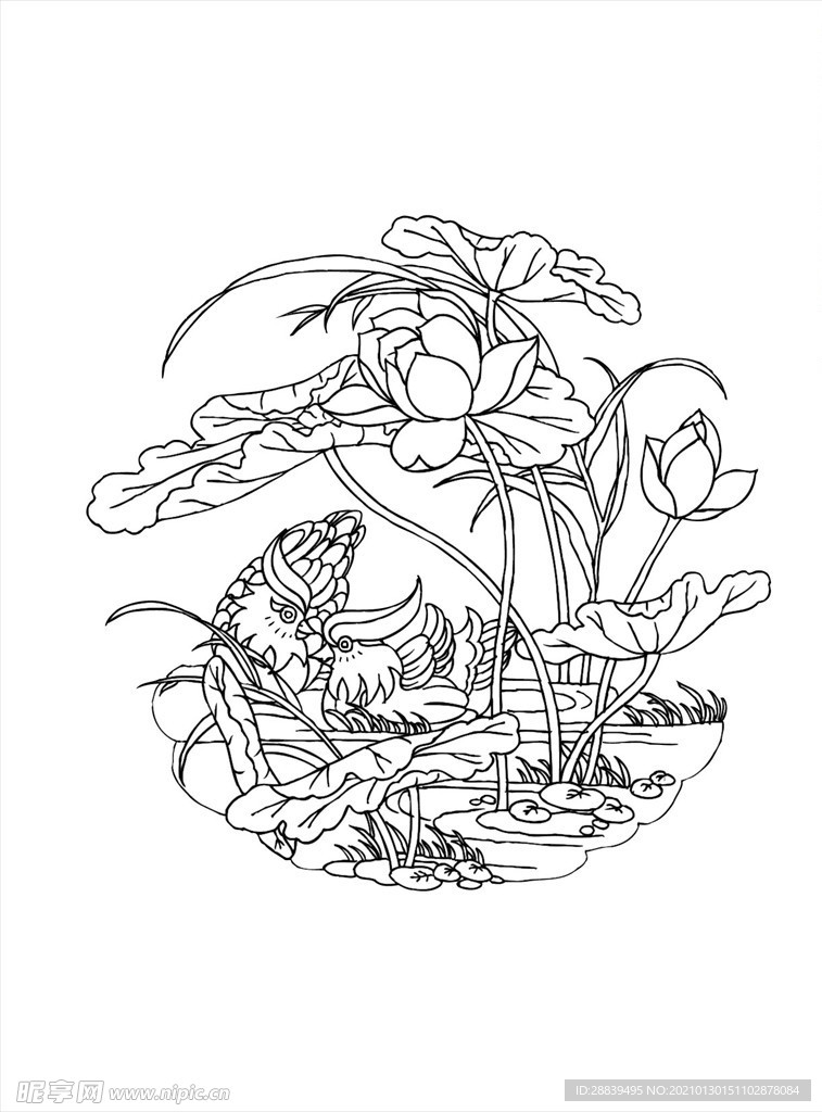 鸳鸯
