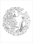 鸟