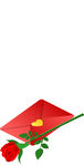 玫瑰