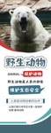 保护野生动物