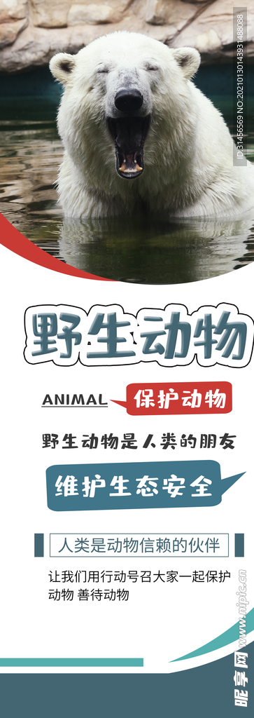 保护野生动物