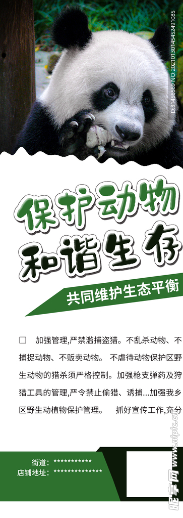 保护动物