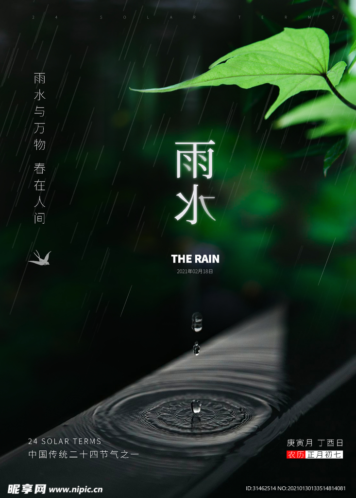 雨水节气海报