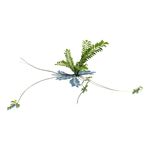 少花米口袋