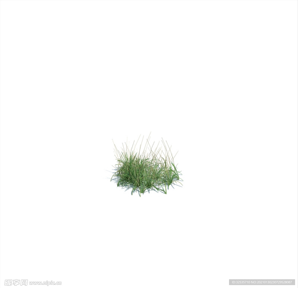 杂草