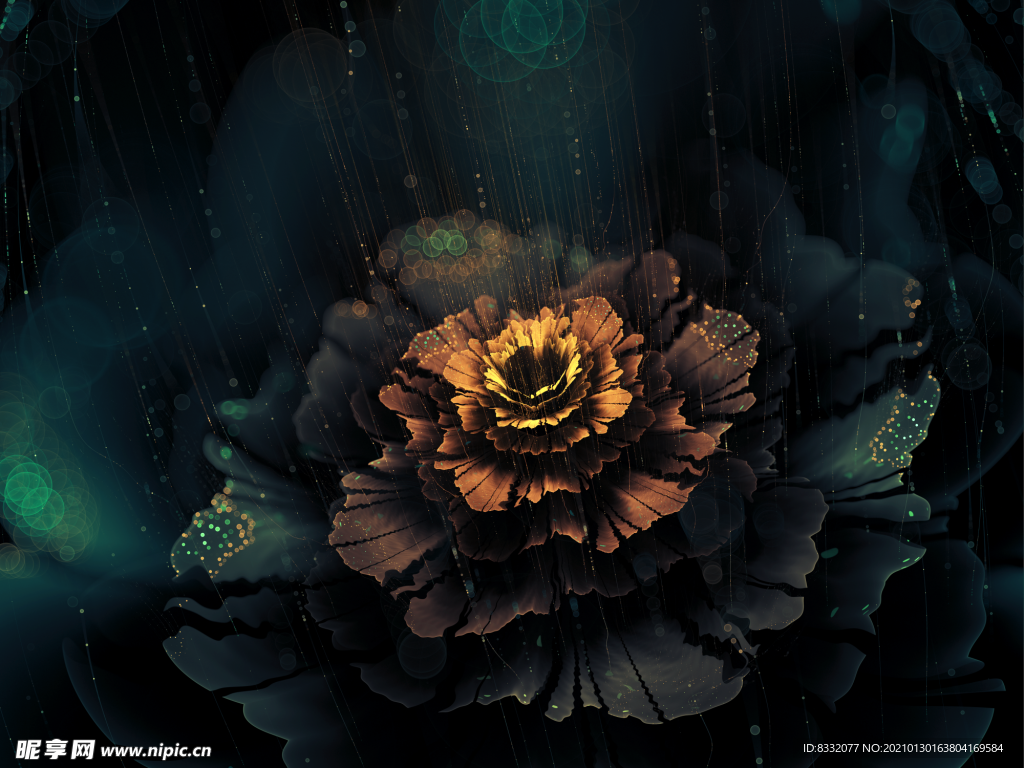 美丽花纹