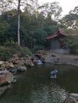 假山
