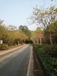 马路