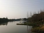 湿地