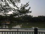 风景
