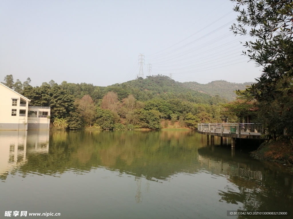 风景
