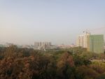 城市