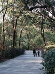 山间小路