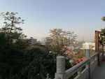 风景