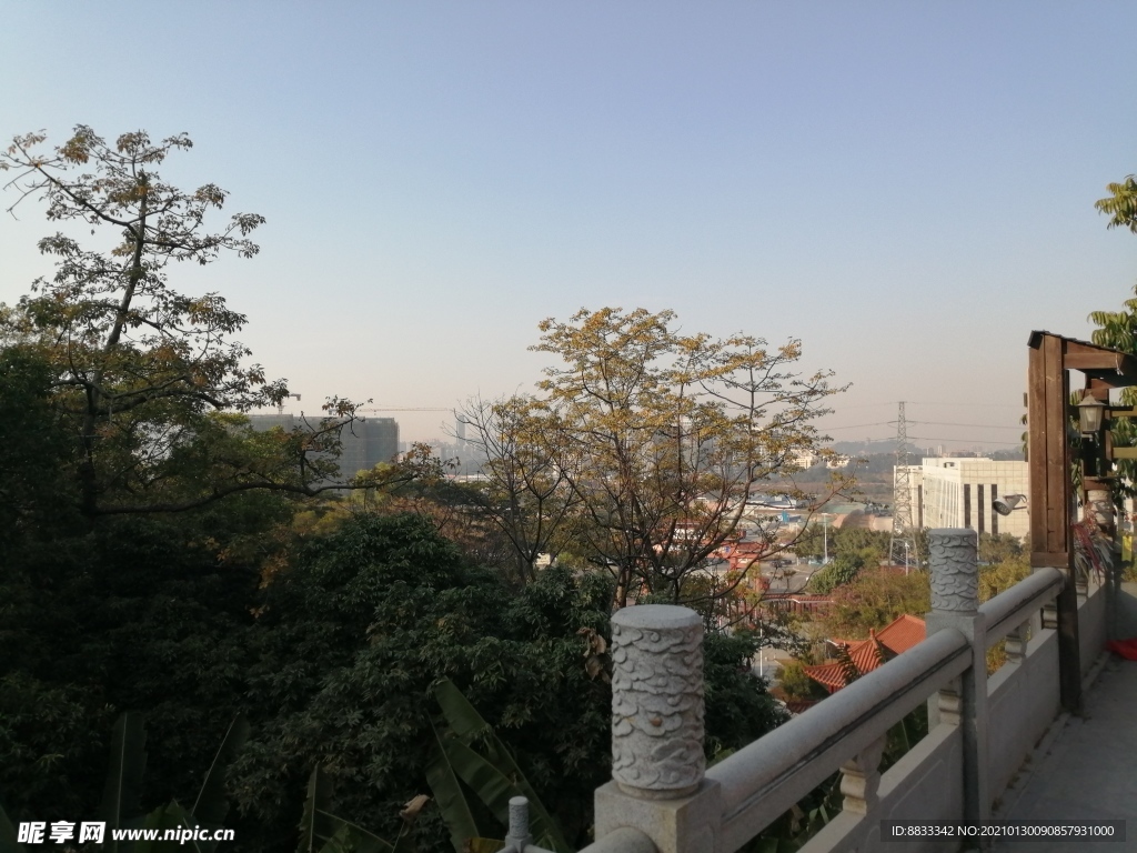 风景