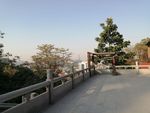 风景