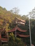 公园