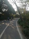 公园