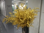 花卉